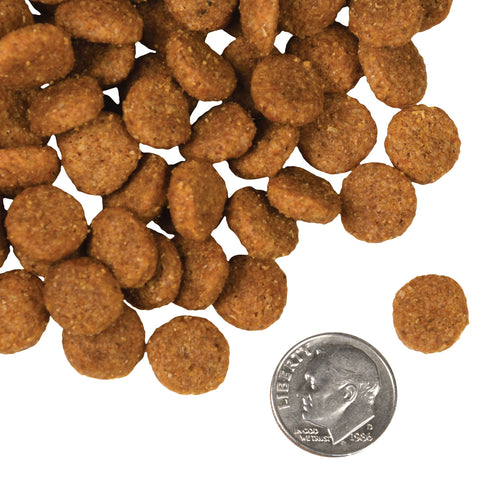 Fromm Four-Star Dry Dog Food - Pork & Applesauce - 4lb Bag